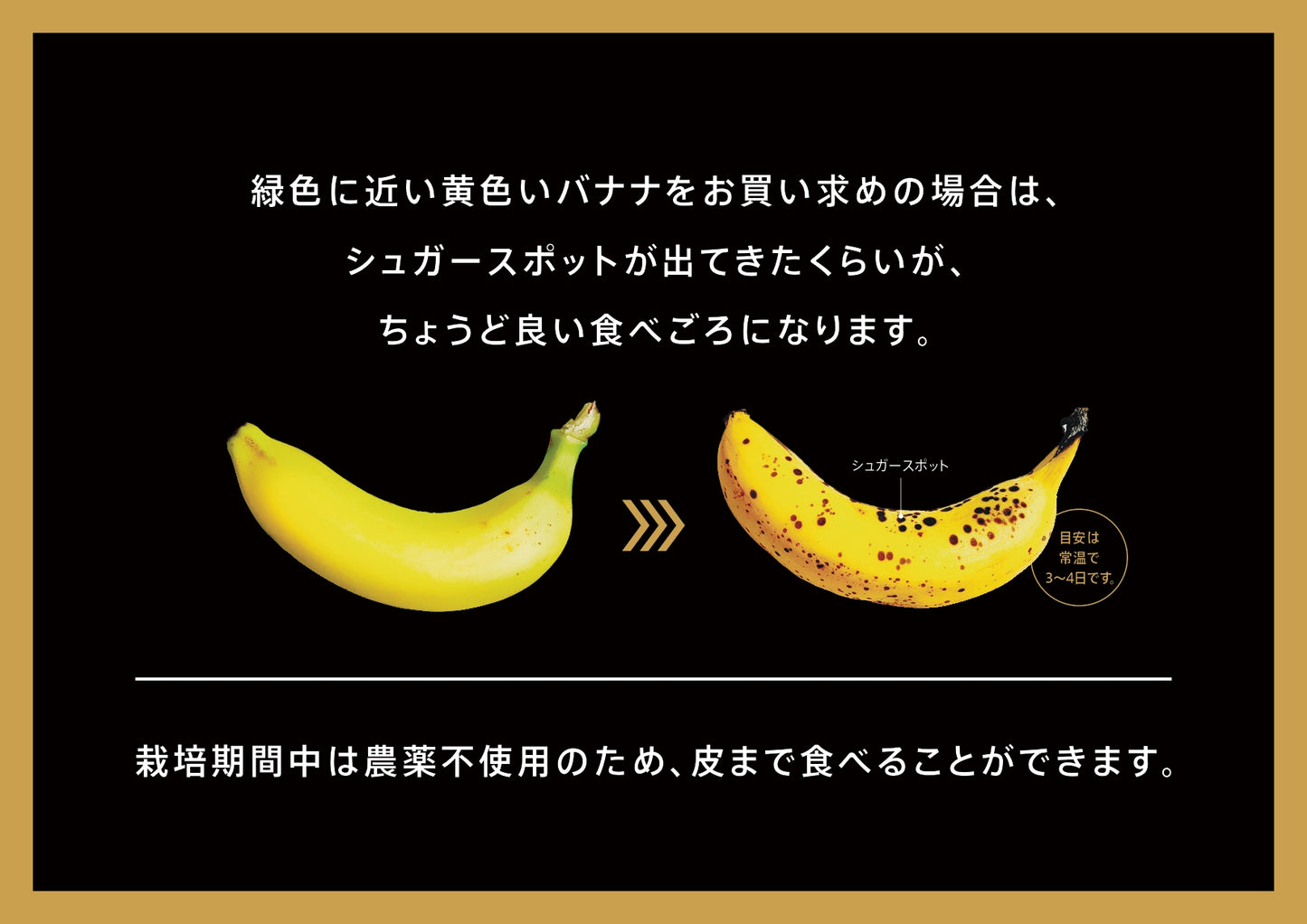 まえばしバナナ 不揃い詰め合わせセット