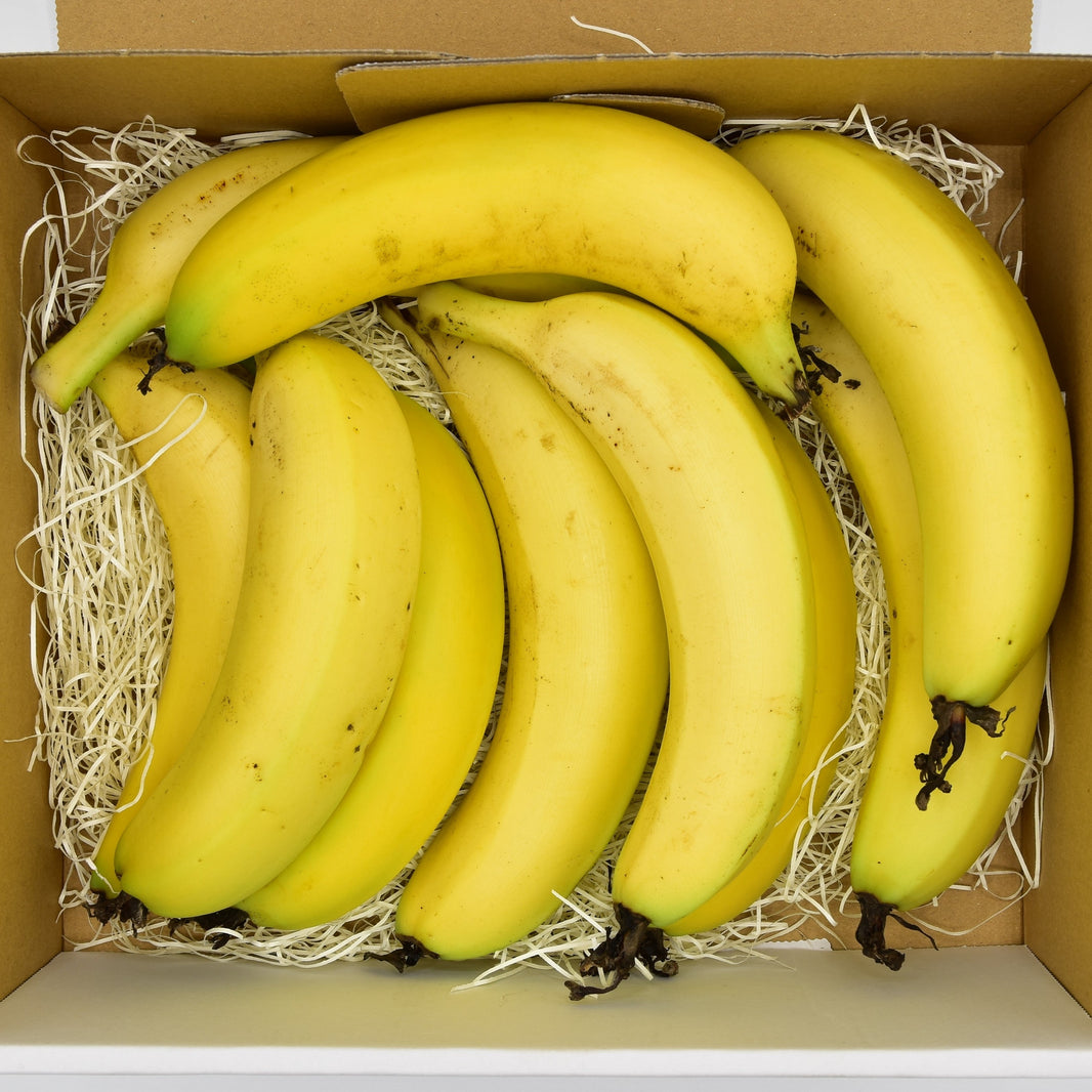 コレクション: 食料品